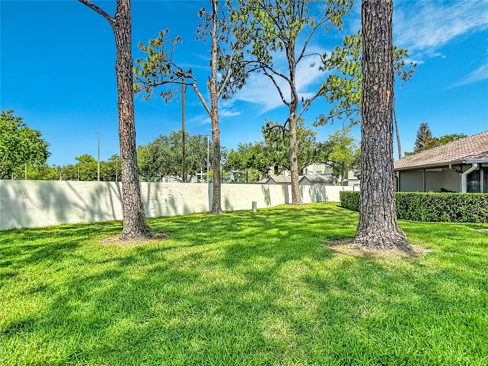 18312 Aintree Court #0 Tampa FL 33647 OM724539 image53