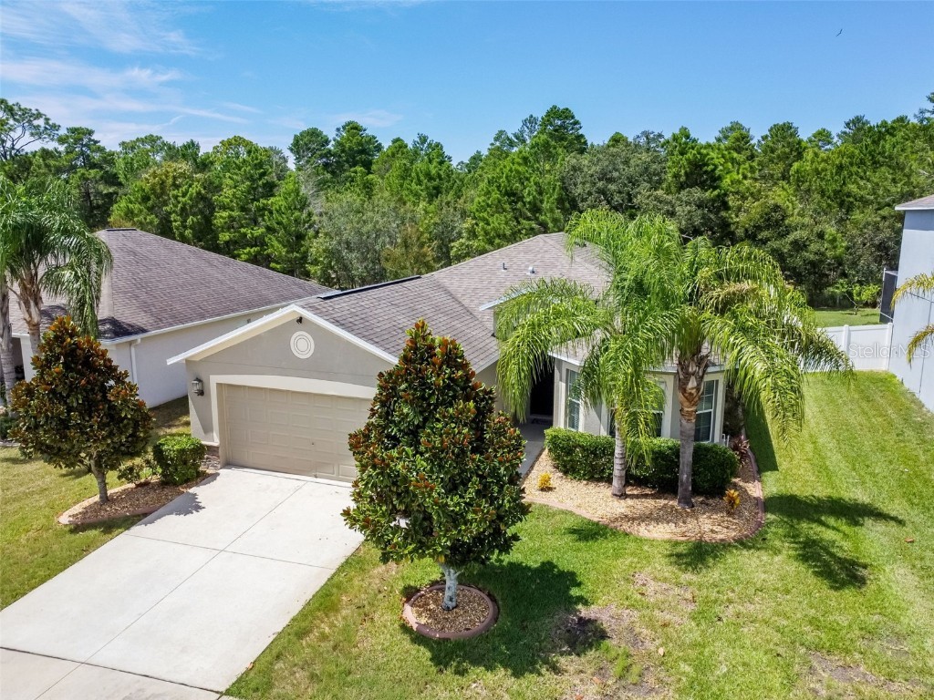 18313 Waydale Loop Hudson FL 34667 U8213008 image1