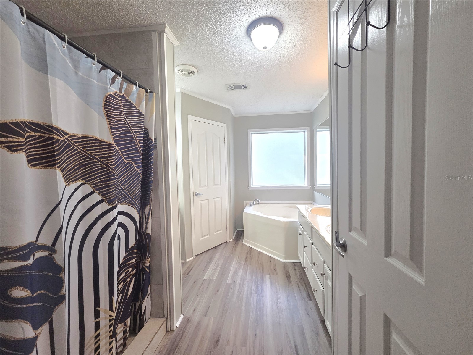 18314 Deason Drive Spring Hill FL 34610 TB8520999 image12