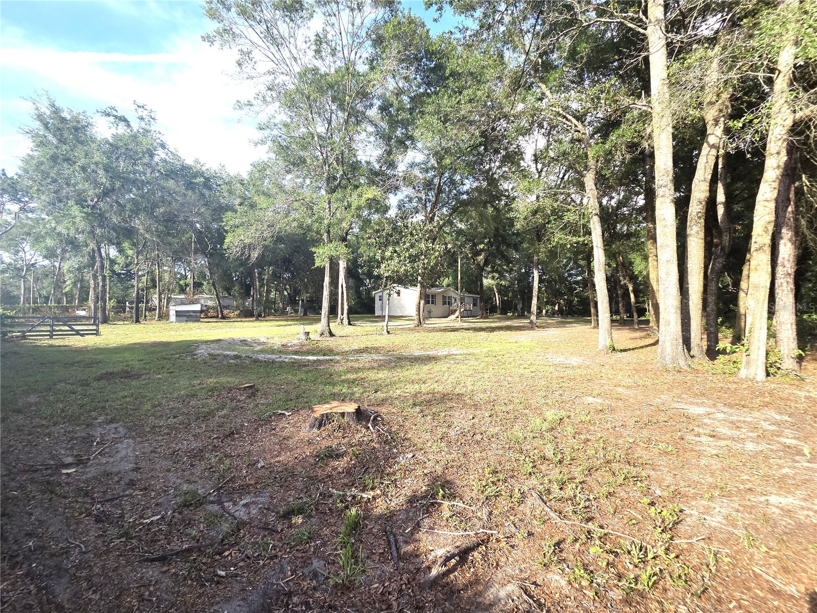 18314 Deason Drive Spring Hill FL 34610 TB8520999 image24