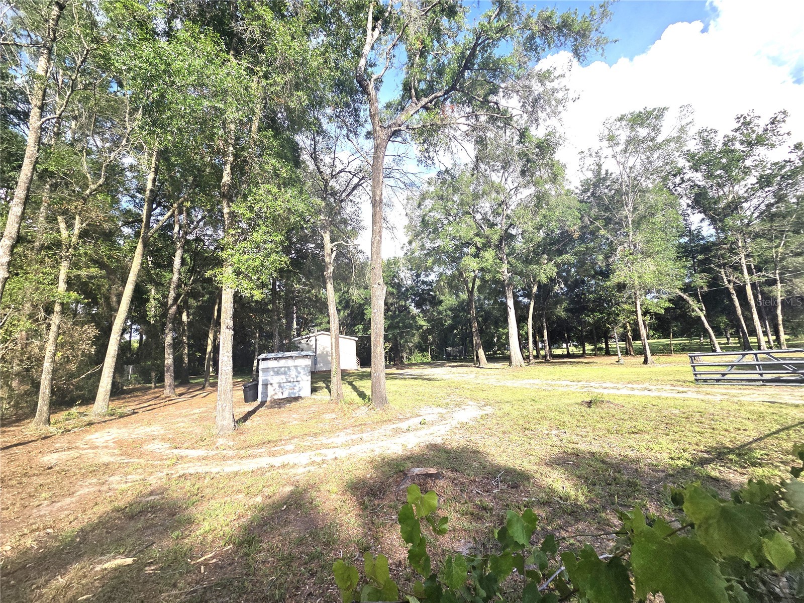 18314 Deason Drive Spring Hill FL 34610 TB8520999 image26