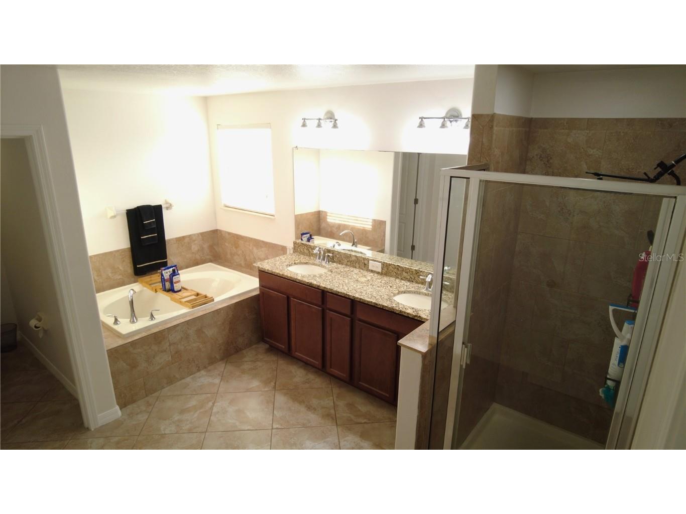 18314 Rossendale Court Land O Lakes FL 34638 TB8425838 image21