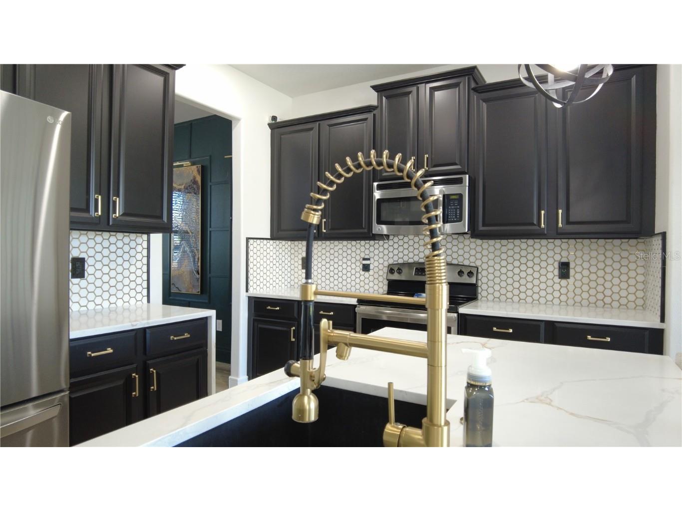 18314 Rossendale Court Land O Lakes FL 34638 TB8425838 image4