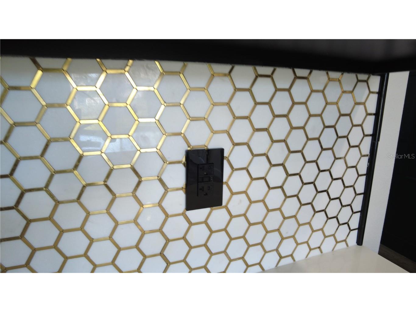 18314 Rossendale Court Land O Lakes FL 34638 TB8425838 image5