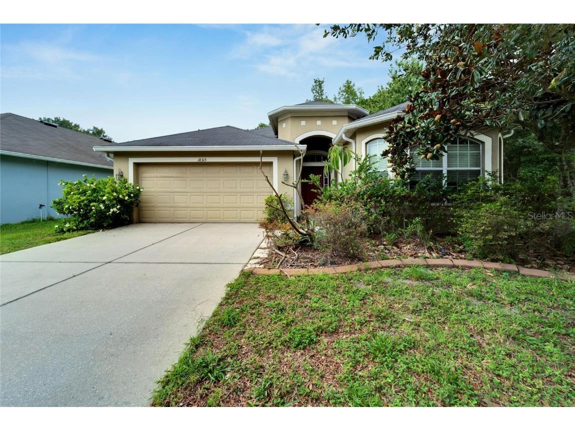 18315 Cypress Bay Parkway Land O Lakes FL 34638 T3454283 image1