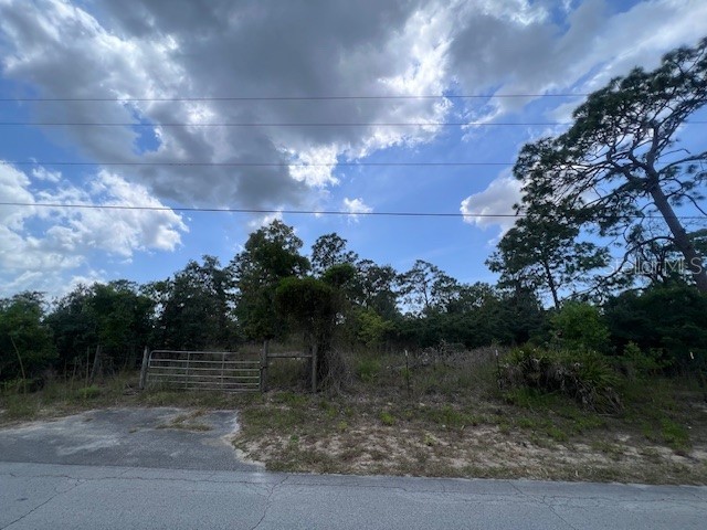 18315 Galveston Street Spring Hill FL 34610 A4621115 image1