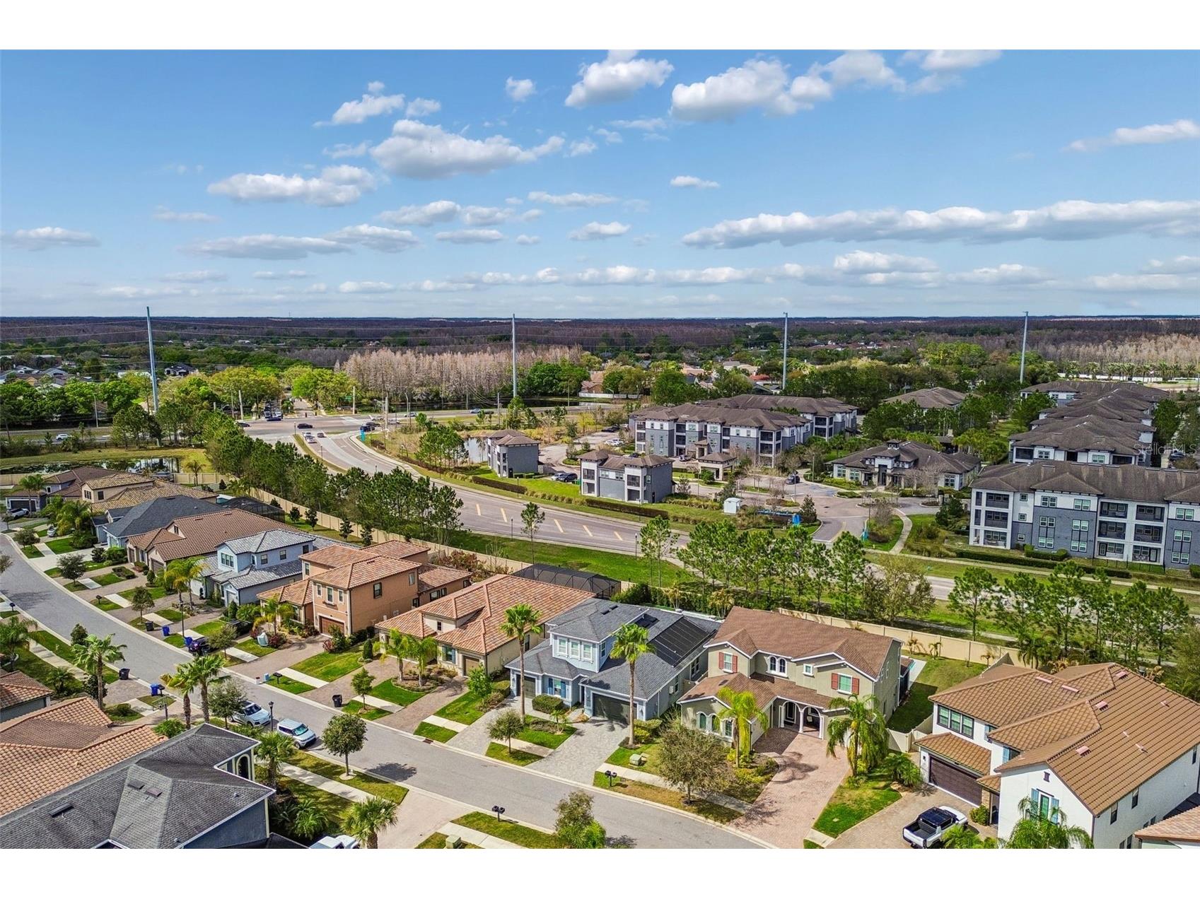 18316 Leafmore Street Lutz FL 33548 TB8483545 image35