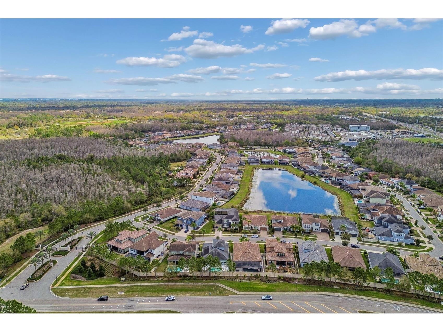 18316 Leafmore Street Lutz FL 33548 TB8483545 image37