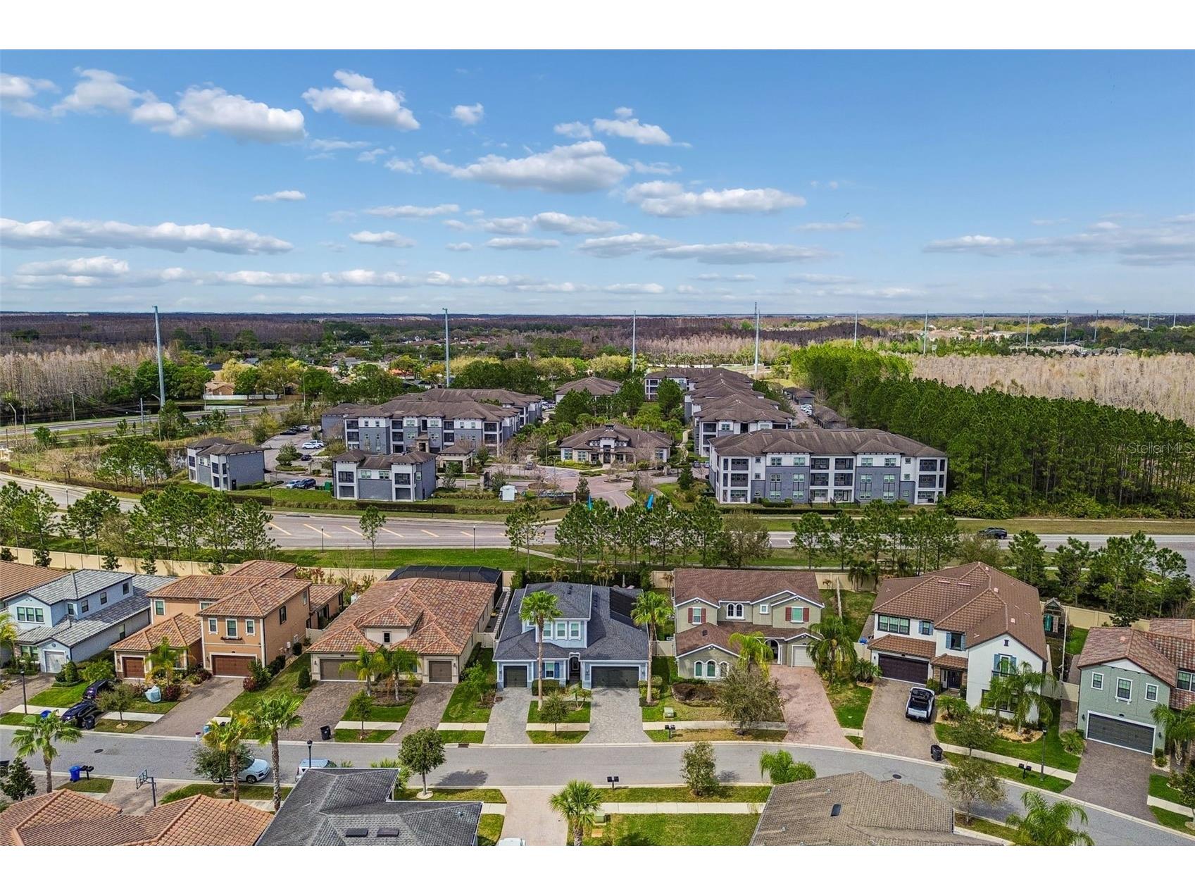 18316 Leafmore Street Lutz FL 33548 TB8483545 image38