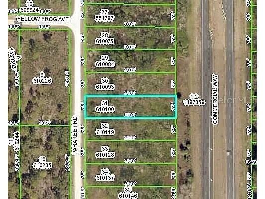 18316 Parakeet Road Weeki Wachee FL 34614 A4588271 image1