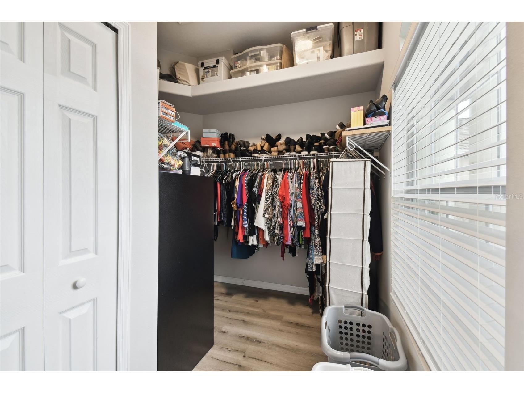 18317 Treehaven Drive Hudson FL 34667 - POND W7883026 image28