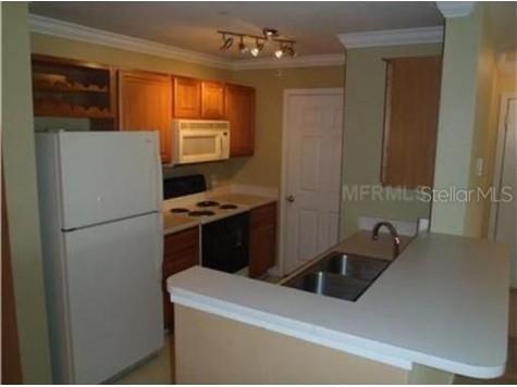 18318 Bridle Club Drive Tampa FL 33647 TB8435420 image5
