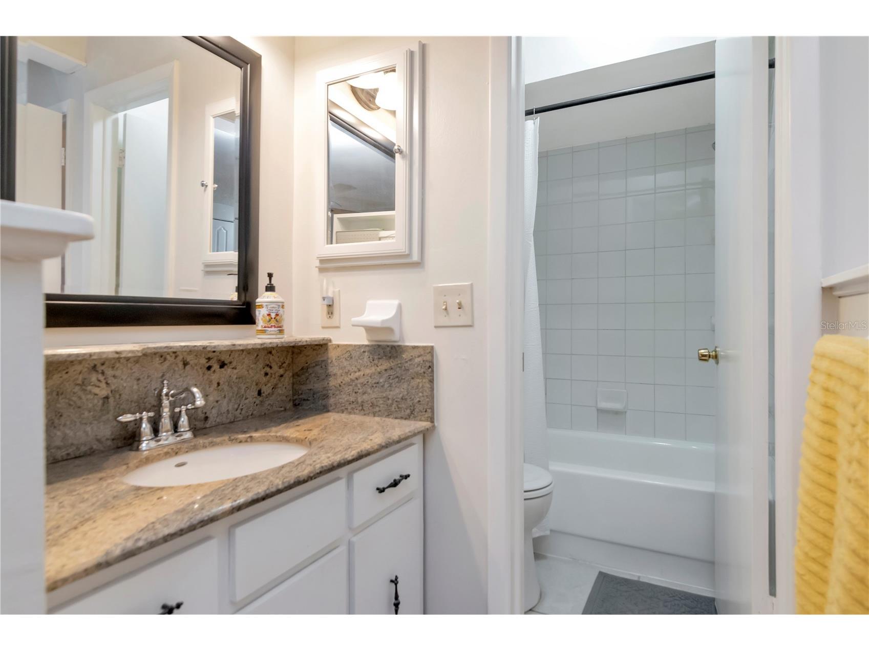18318 Dolly Brook Lane Lutz FL 33549 TB8507791 image20