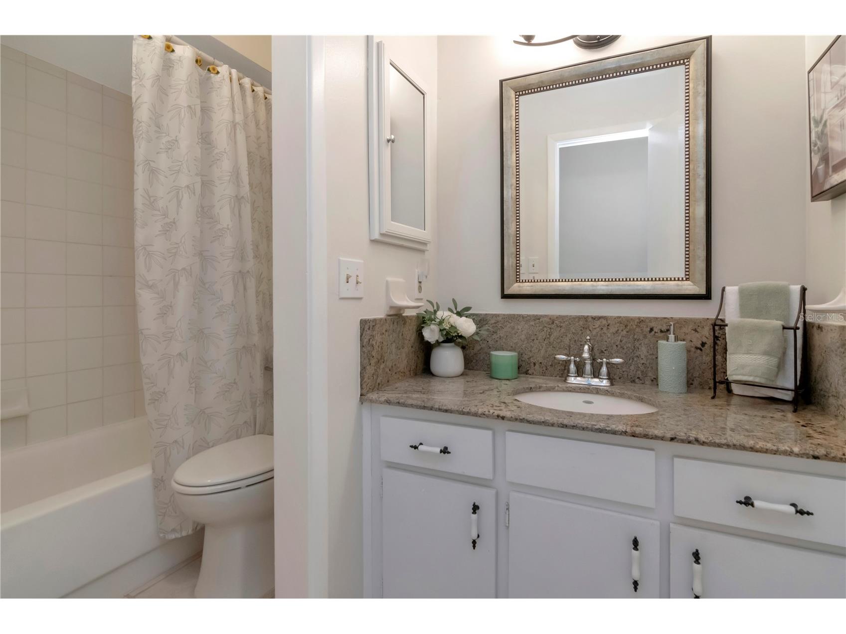 18318 Dolly Brook Lane Lutz FL 33549 TB8507791 image22