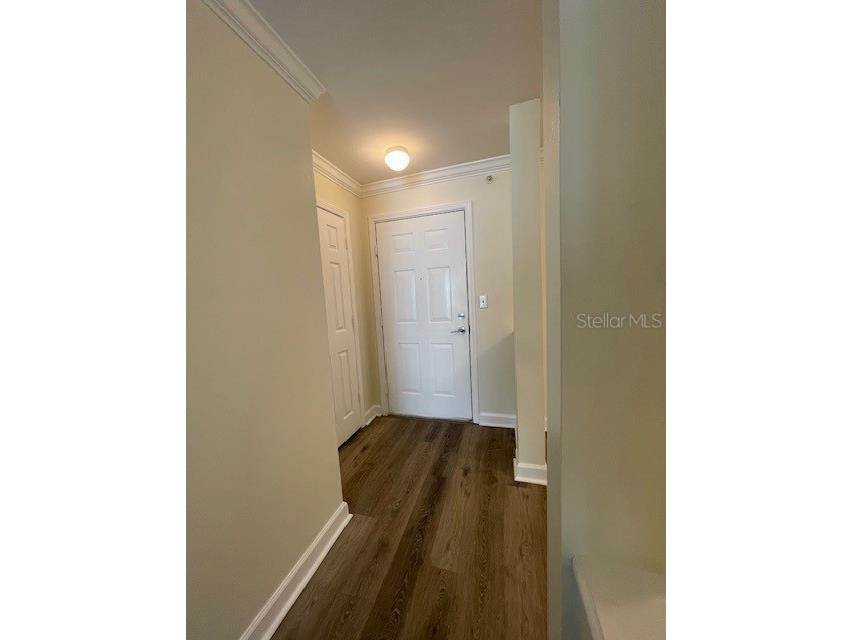 18319 Bridle Club Drive Tampa FL 33647 TB8494812 image11