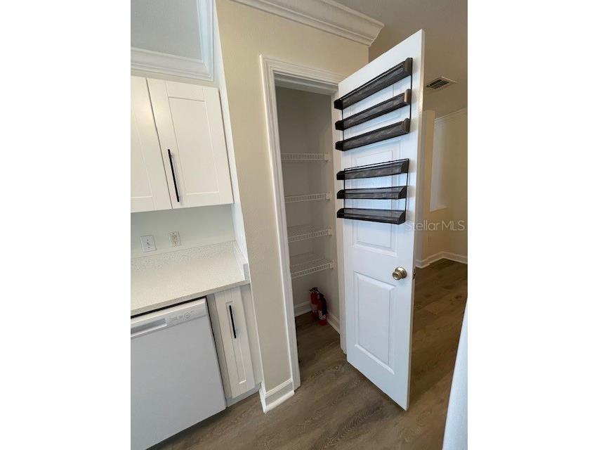 18319 Bridle Club Drive Tampa FL 33647 TB8494812 image12