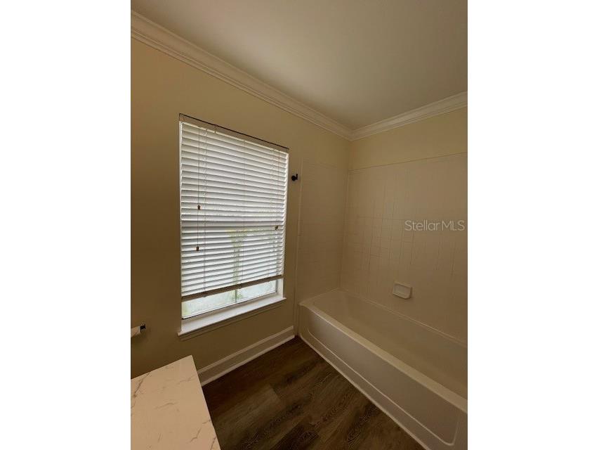 18319 Bridle Club Drive Tampa FL 33647 TB8494812 image15