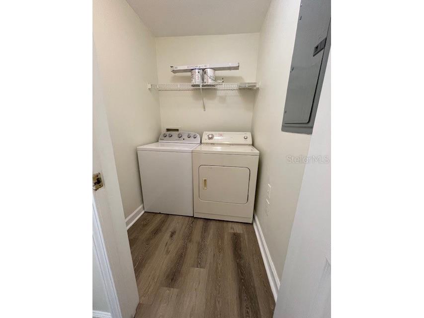 18319 Bridle Club Drive Tampa FL 33647 TB8494812 image20