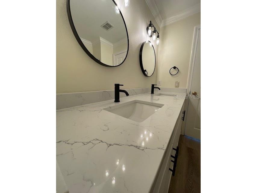 18319 Bridle Club Drive Tampa FL 33647 TB8494812 image22
