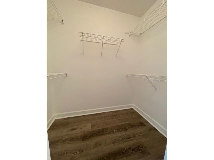 18319 Bridle Club Drive Tampa FL 33647 TB8494812 image24