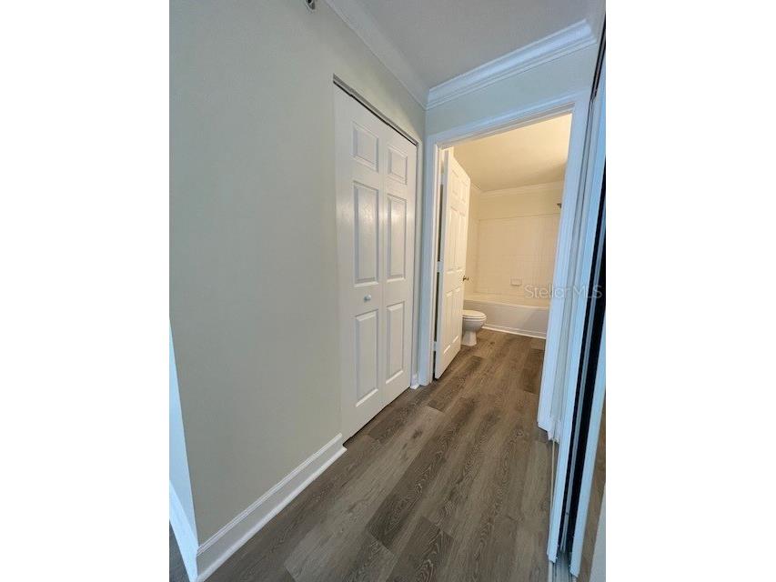 18319 Bridle Club Drive Tampa FL 33647 TB8494812 image25