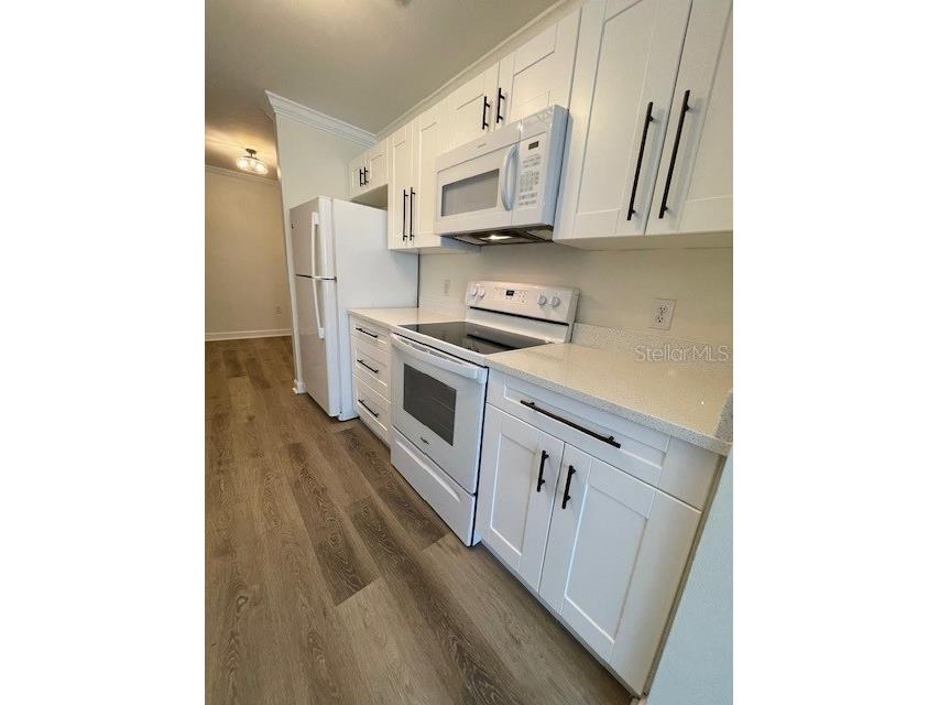 18319 Bridle Club Drive Tampa FL 33647 TB8494812 image27