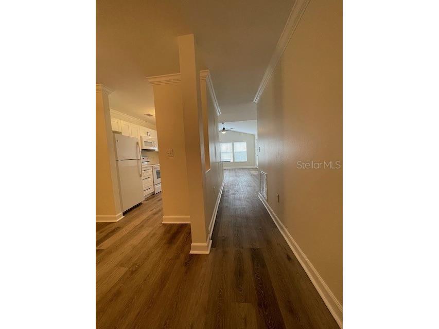 18319 Bridle Club Drive Tampa FL 33647 TB8494812 image30