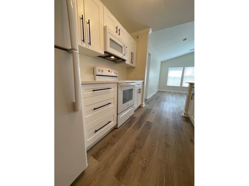 18319 Bridle Club Drive Tampa FL 33647 TB8494812 image4