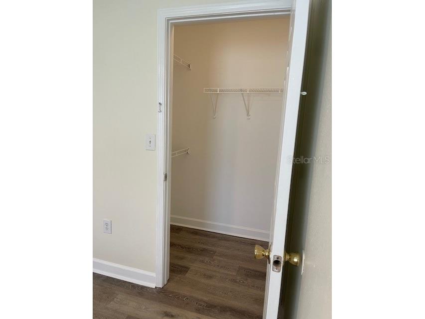 18319 Bridle Club Drive Tampa FL 33647 TB8494812 image8
