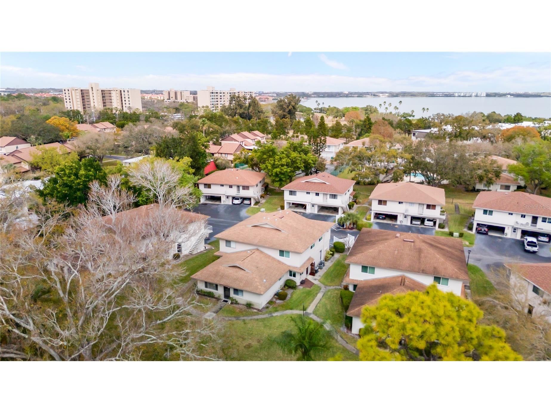 1832 Bough Avenue #3 Clearwater FL 33760 L4959492 image5