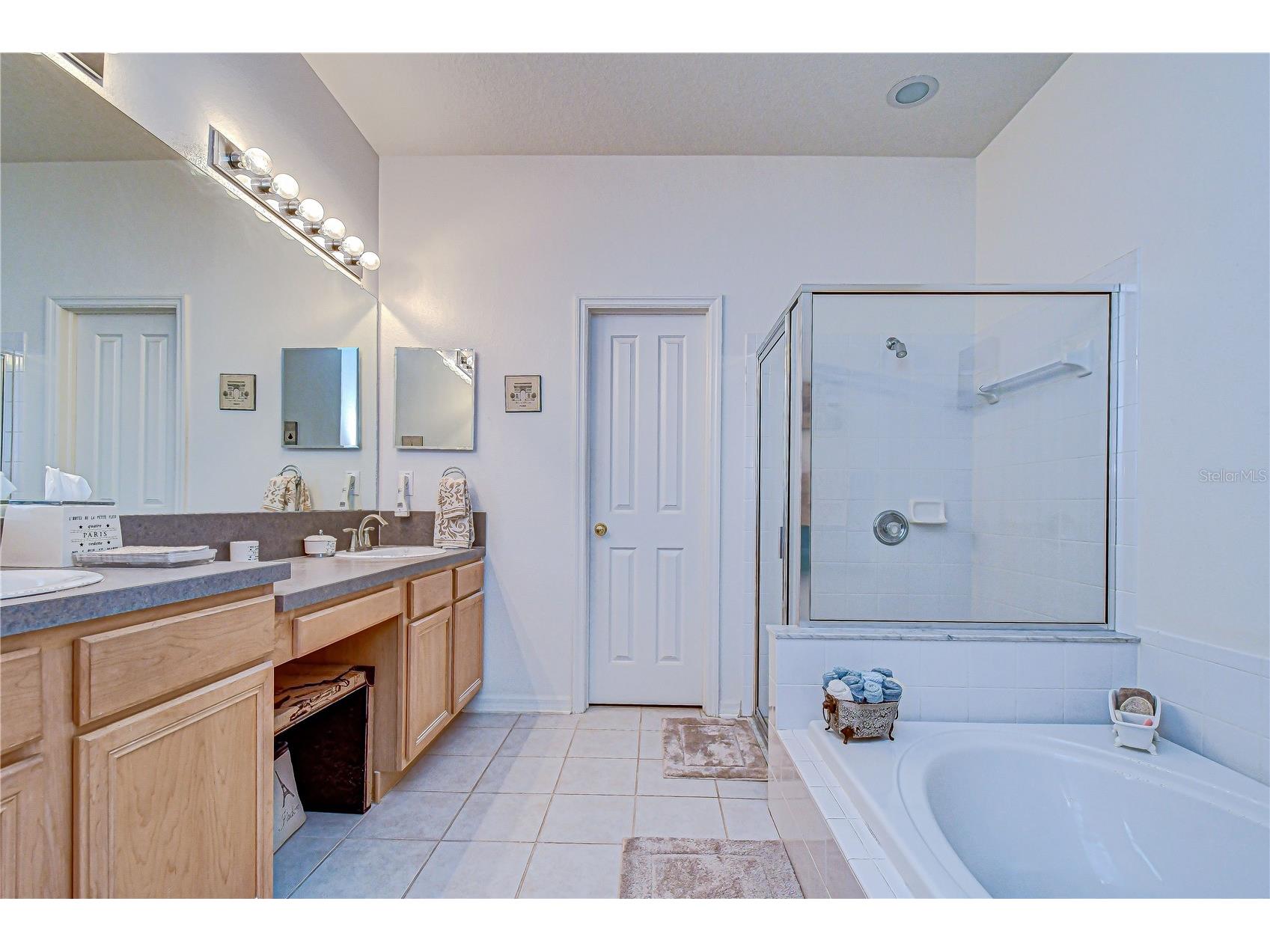 1832 Sassafras Drive Wesley Chapel FL 33543 TB8487860 image46