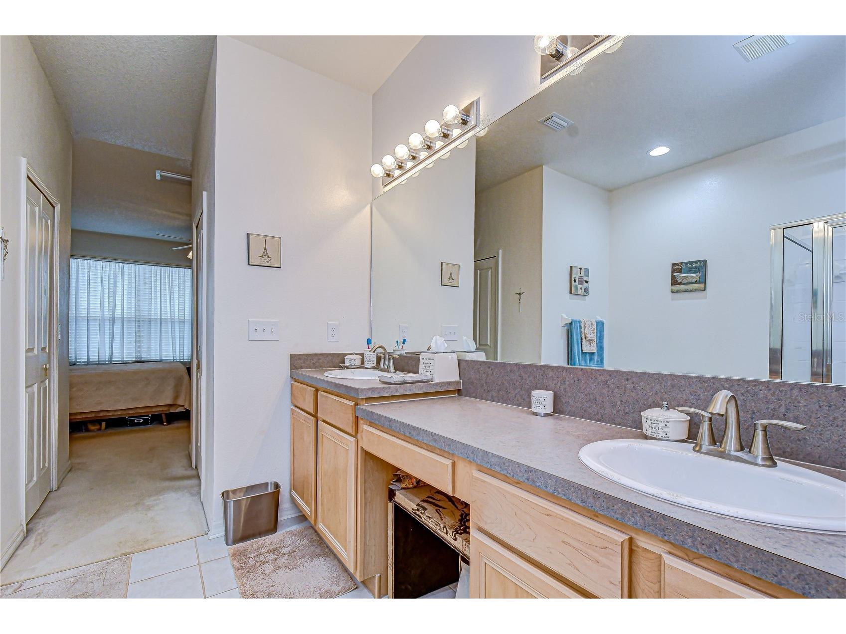 1832 Sassafras Drive Wesley Chapel FL 33543 TB8487860 image48