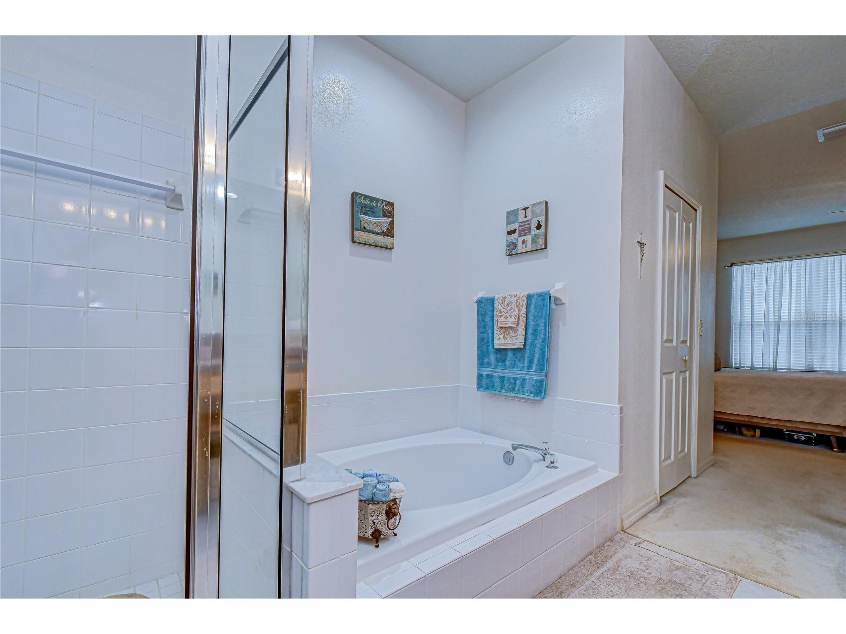 1832 Sassafras Drive Wesley Chapel FL 33543 TB8487860 image49