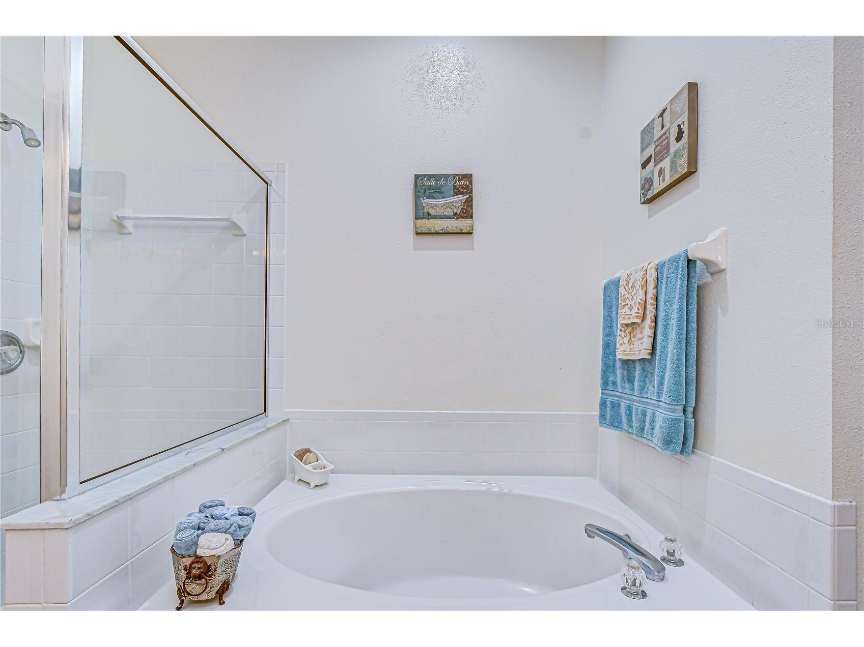 1832 Sassafras Drive Wesley Chapel FL 33543 TB8487860 image50