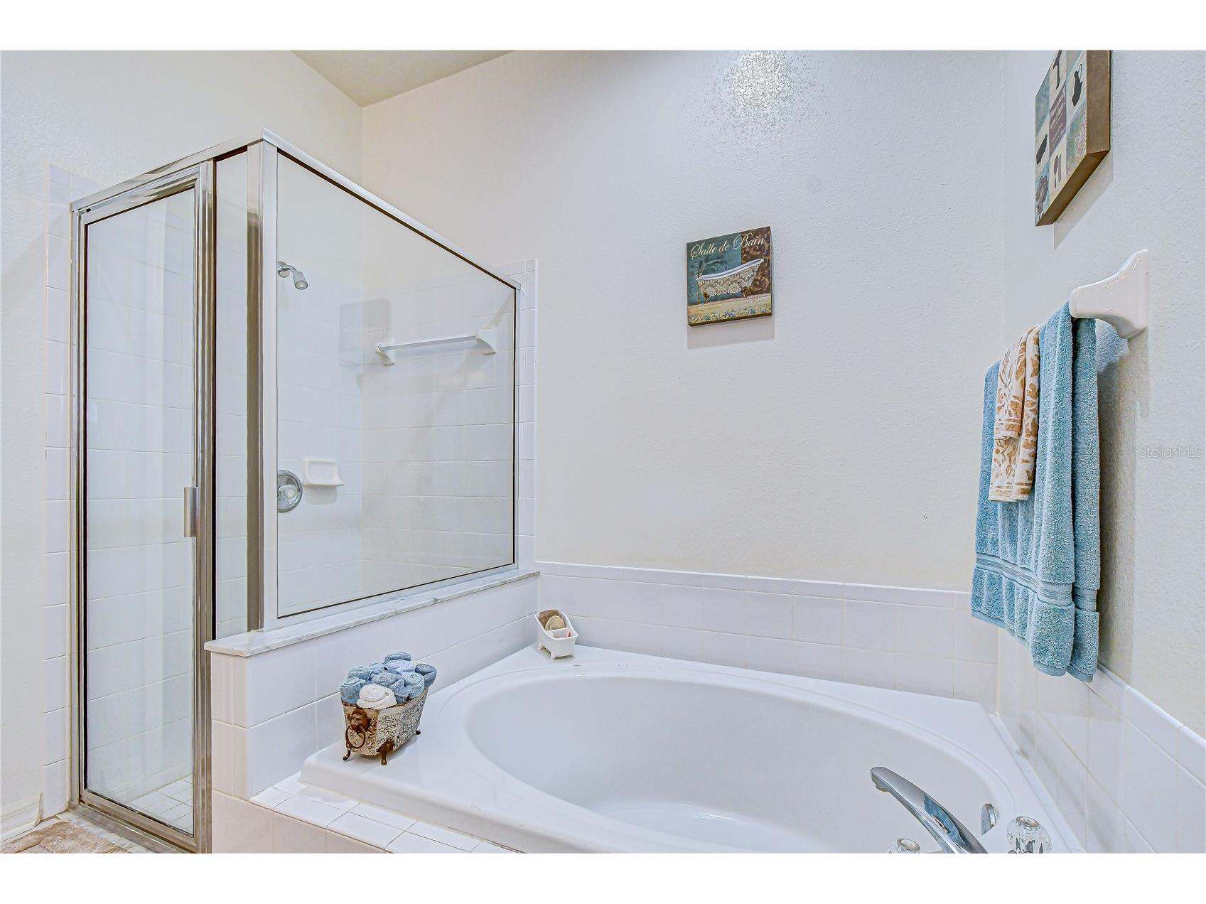 1832 Sassafras Drive Wesley Chapel FL 33543 TB8487860 image51