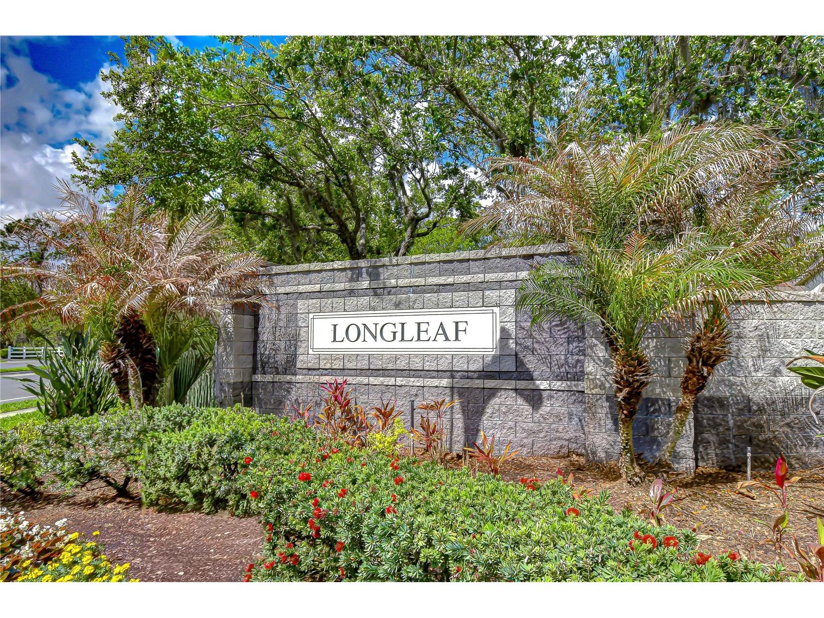 1832 Sassafras Drive Wesley Chapel FL 33543 TB8487860 image62