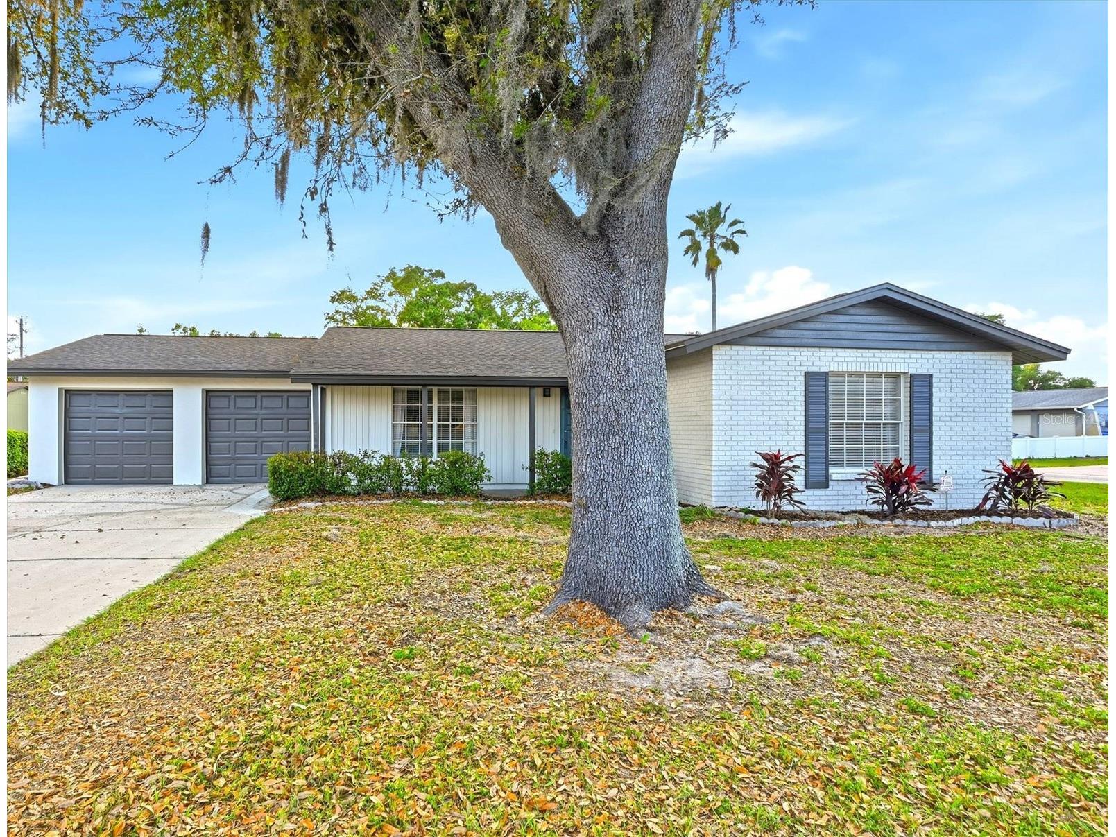 18320 Dolly Brook Lane Lutz FL 33549 TB8501081 image1