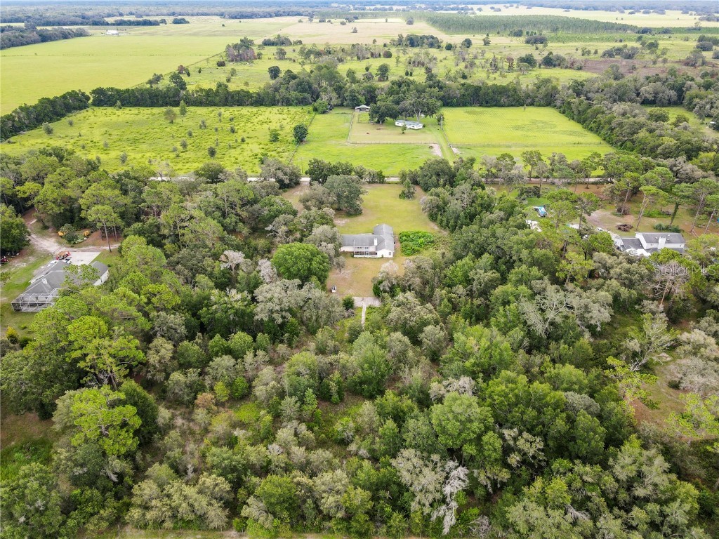 18321 Mcmullen Rd Spring Hill FL 34610 TB8417702 image6