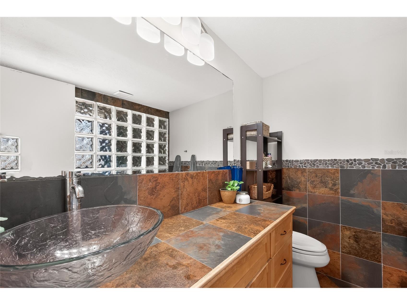 18322 Swan Lake Drive Lutz FL 33549 TB8489278 image17