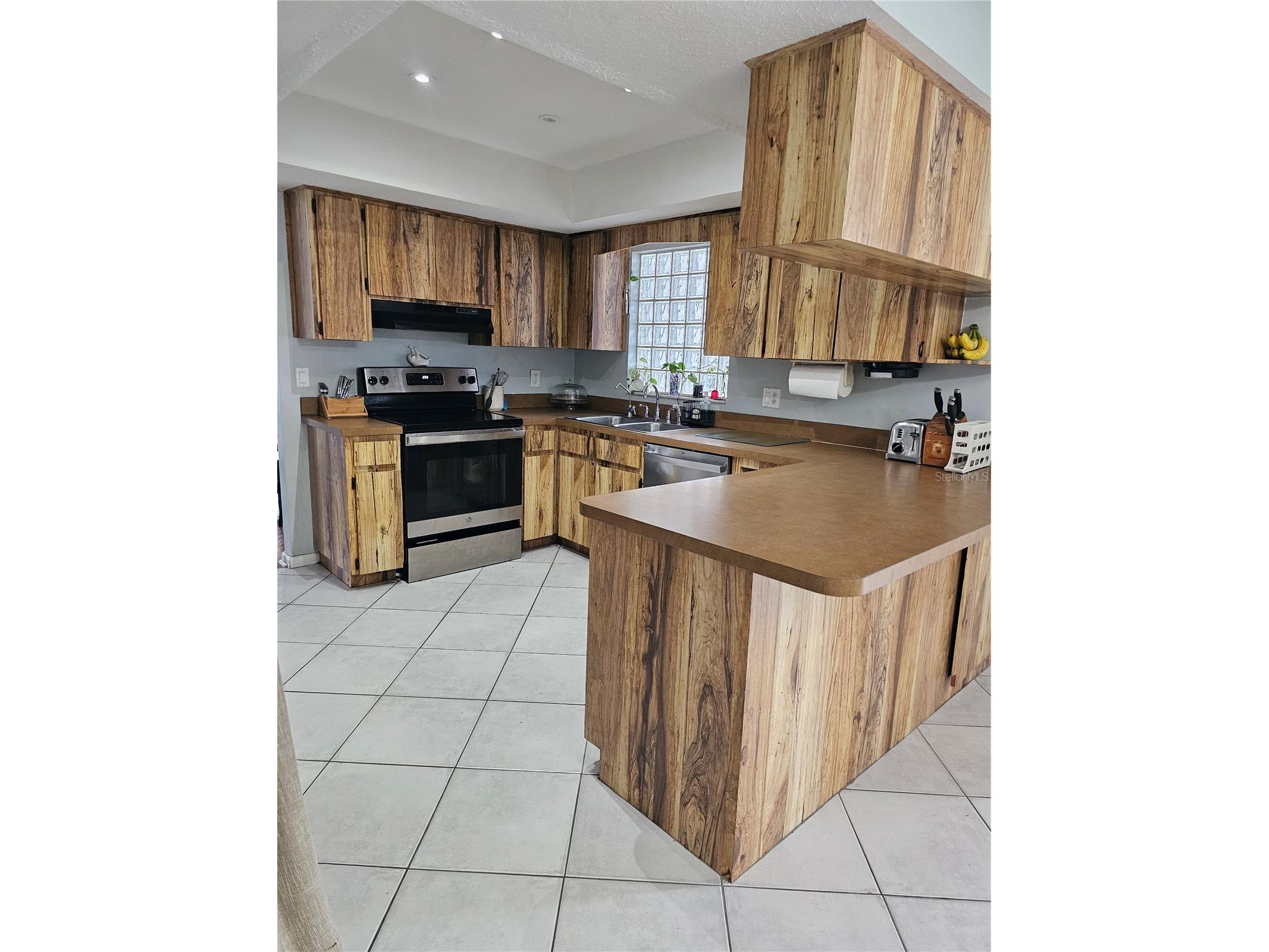 18322 Swan Lake Drive Lutz FL 33549 TB8516009 image18