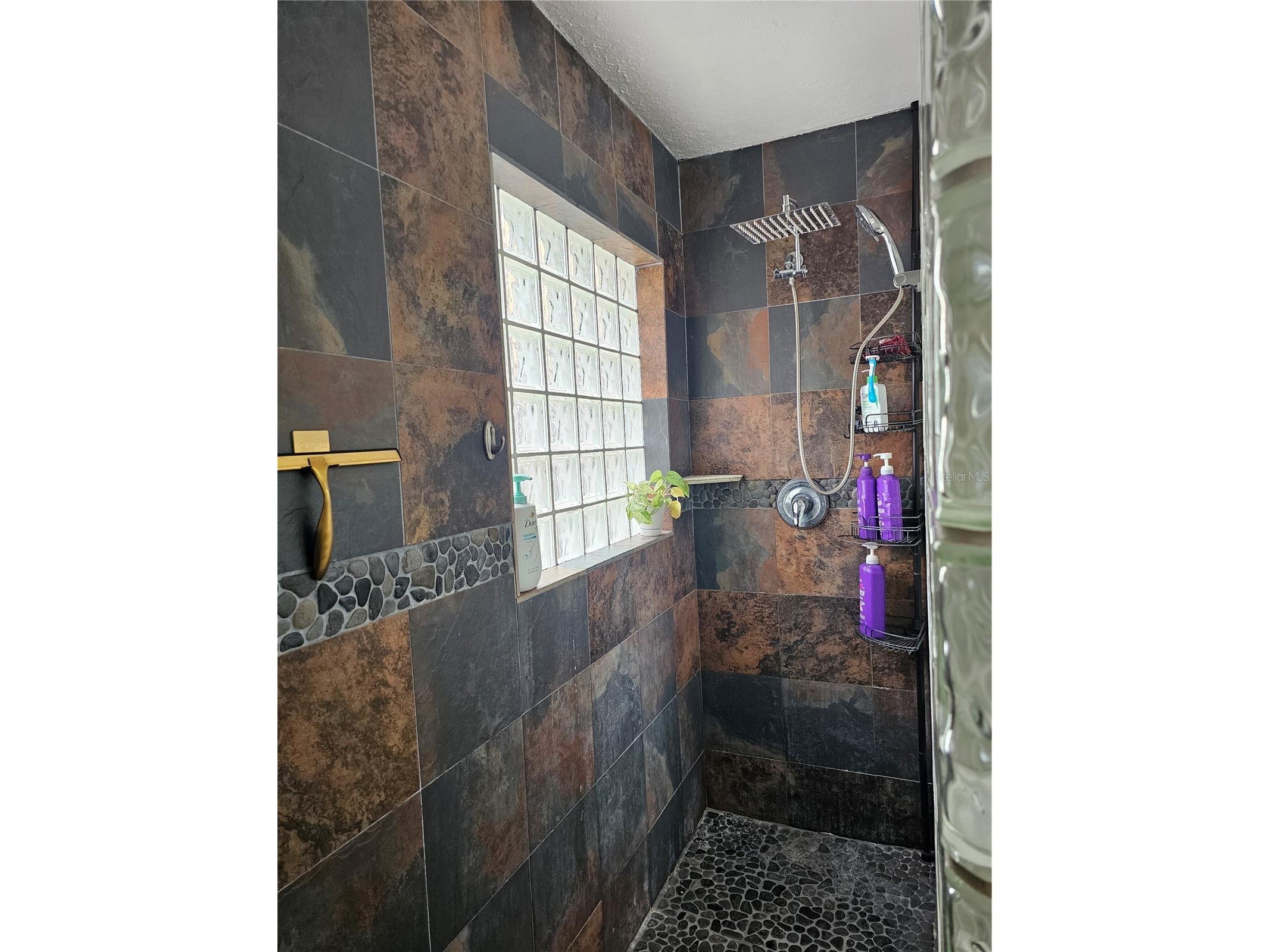 18322 Swan Lake Drive Lutz FL 33549 TB8516009 image23