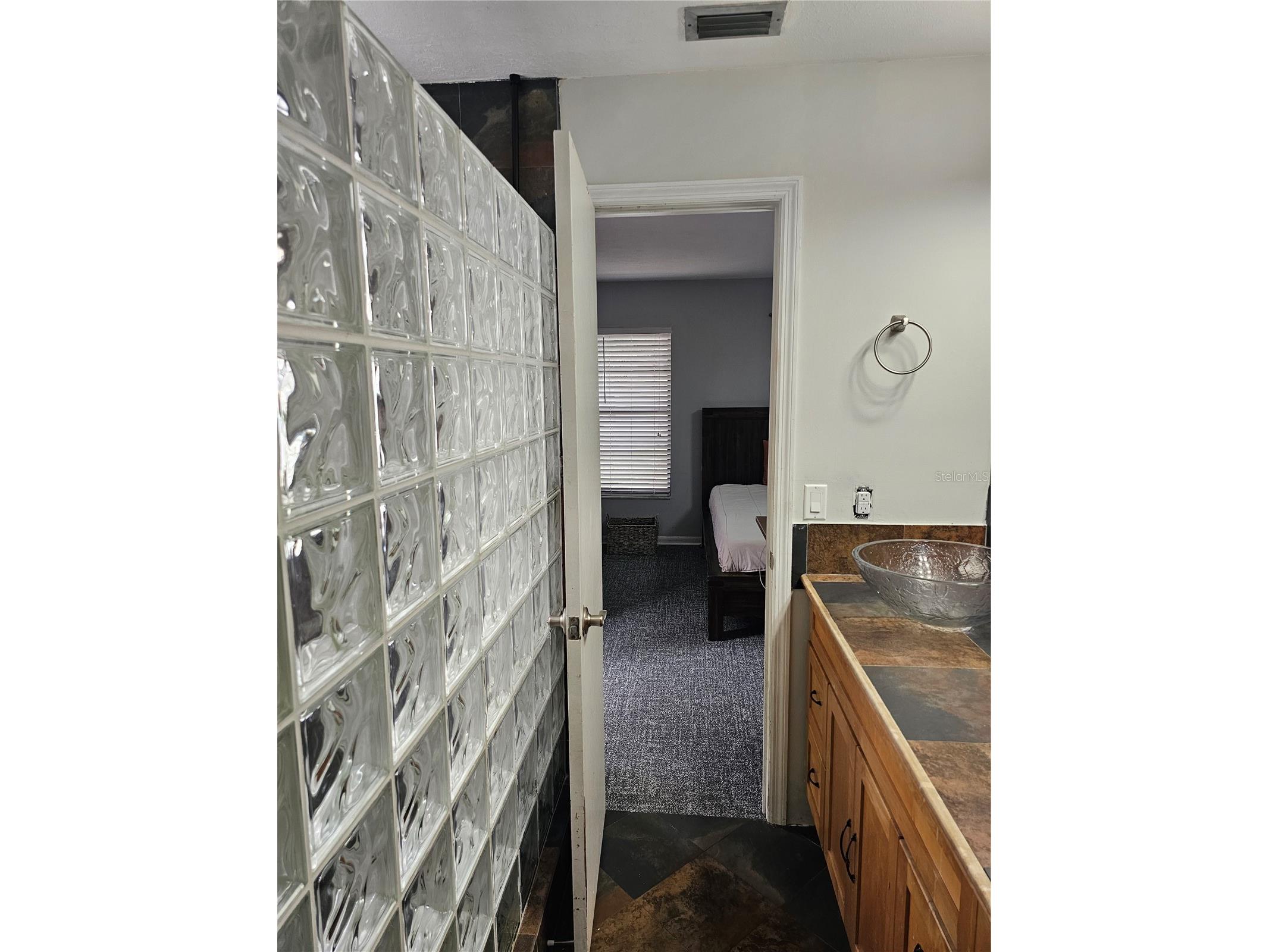 18322 Swan Lake Drive Lutz FL 33549 TB8516009 image24