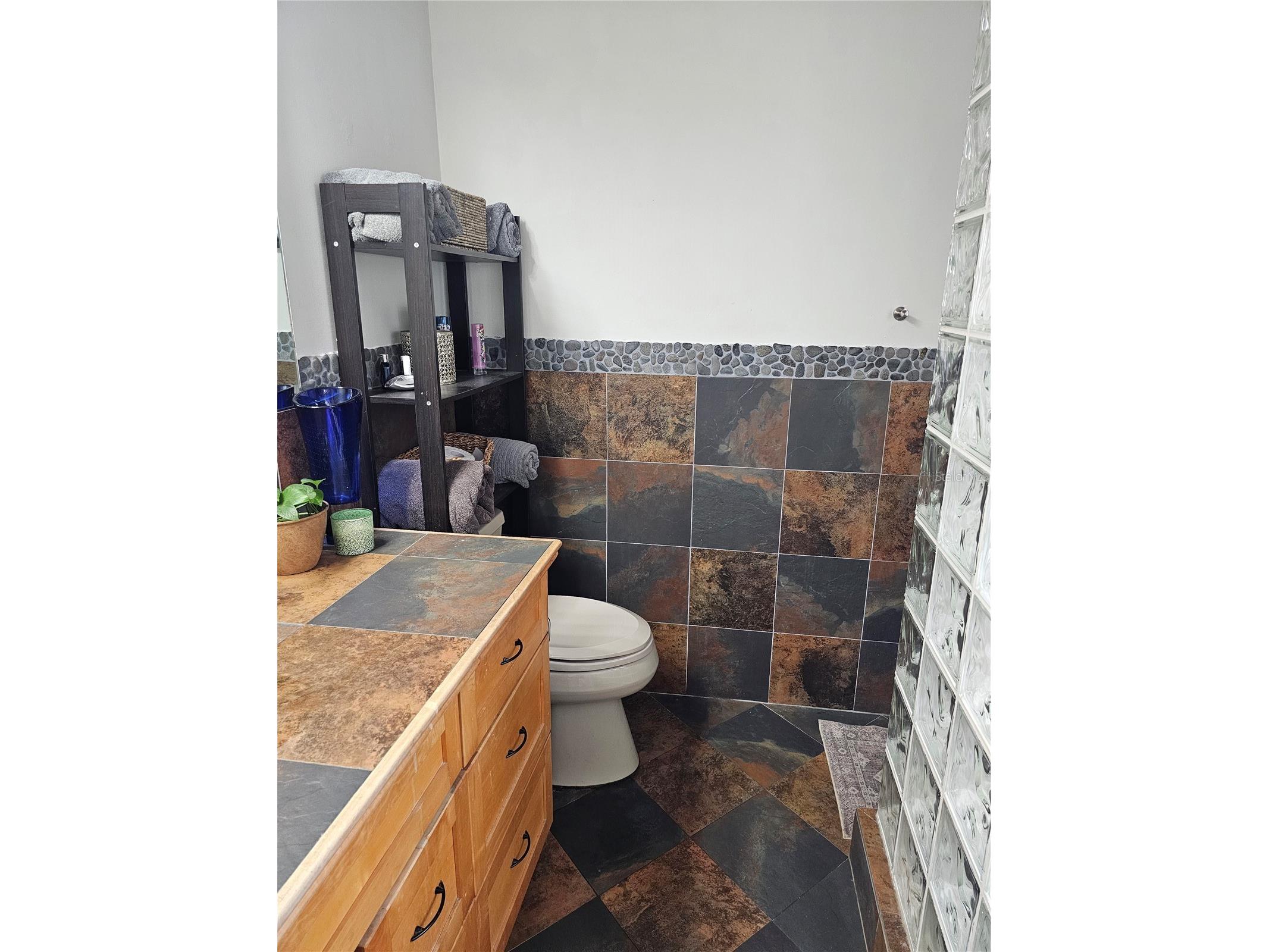 18322 Swan Lake Drive Lutz FL 33549 TB8516009 image25