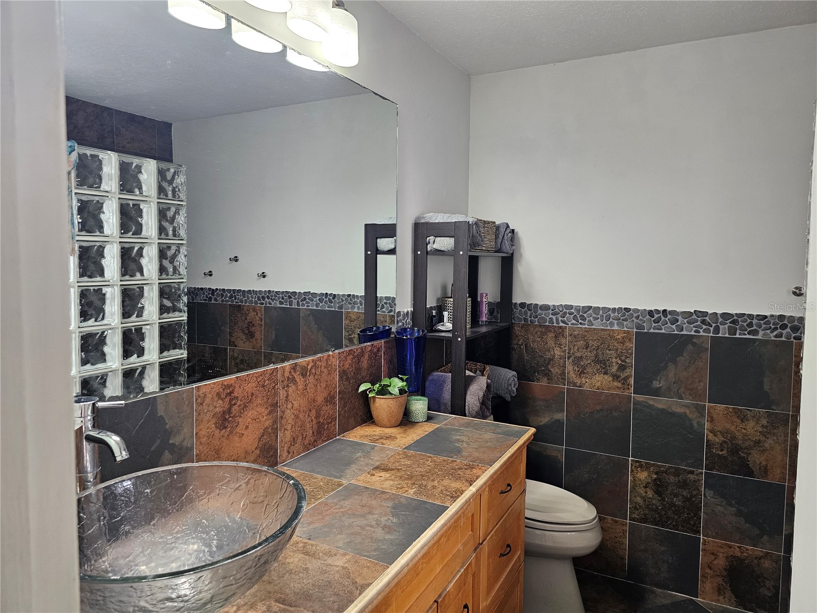 18322 Swan Lake Drive Lutz FL 33549 TB8516009 image26