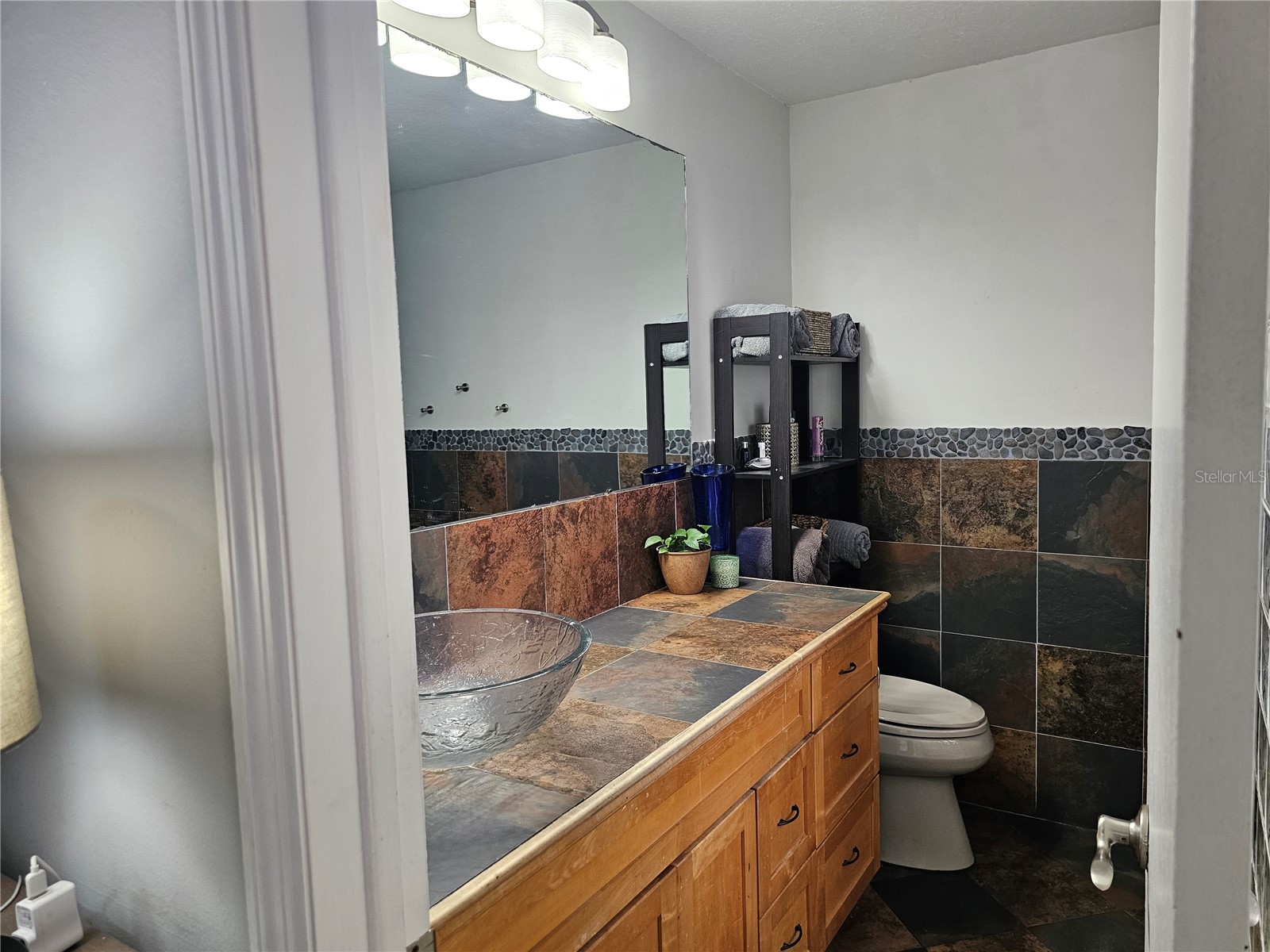 18322 Swan Lake Drive Lutz FL 33549 TB8516009 image27