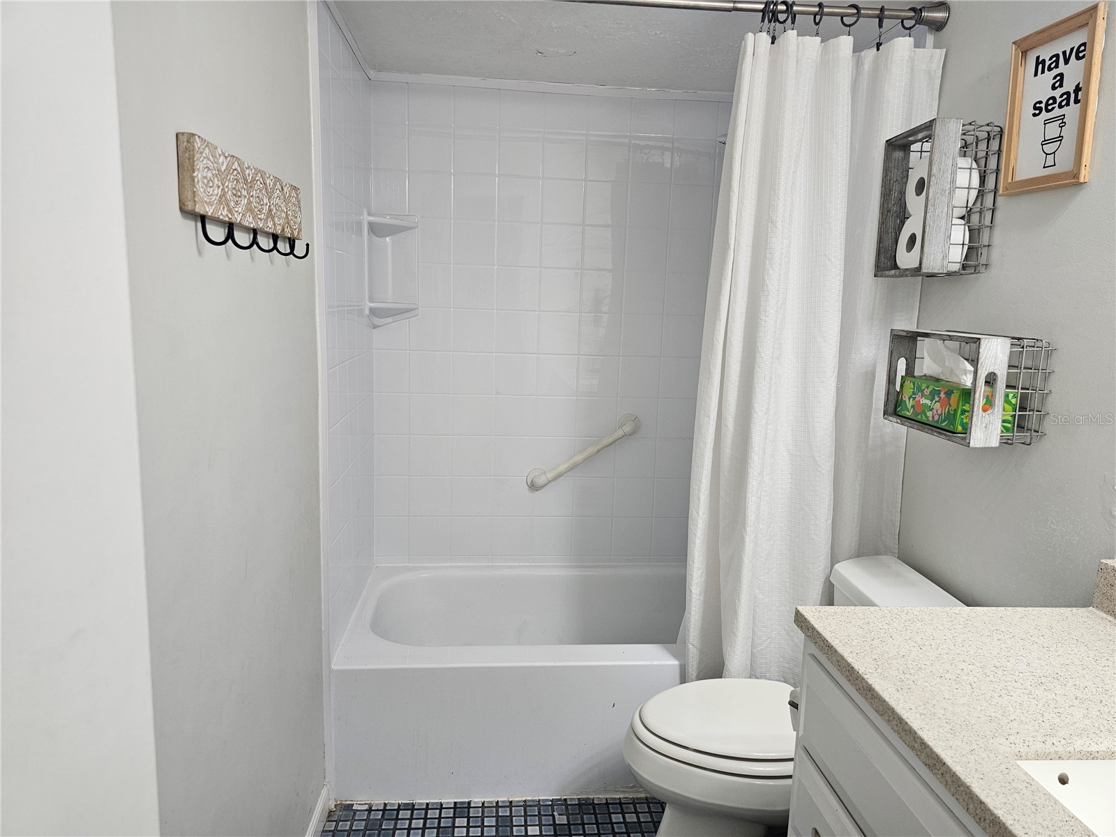 18322 Swan Lake Drive Lutz FL 33549 TB8516009 image34
