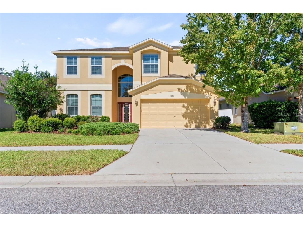 18323 Dajana Avenue Land O Lakes FL 34638 T3410097 image1