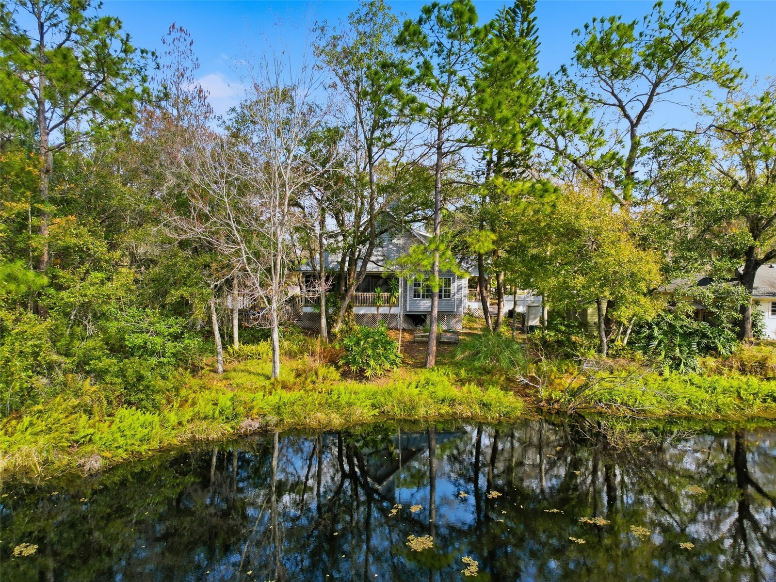 18324 Jorene Road Odessa FL 33556 TB8469078 image15