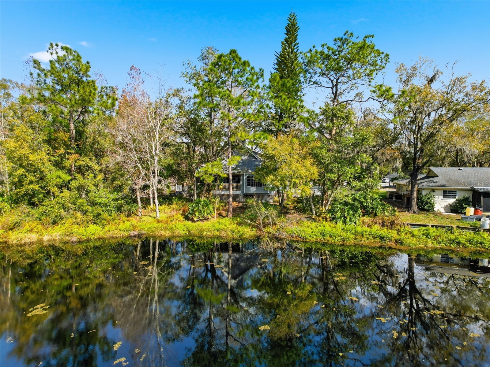 18324 Jorene Road Odessa FL 33556 TB8469078 image2