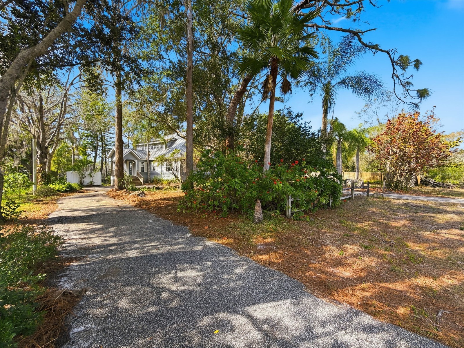 18324 Jorene Road Odessa FL 33556 TB8469078 image6